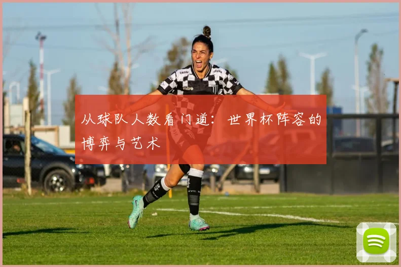从球队人数看门道：世界杯阵容的博弈与艺术