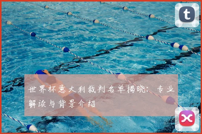 世界杯意大利裁判名单揭晓：专业解读与背景介绍