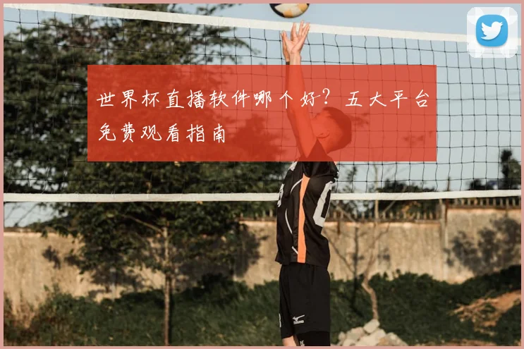 世界杯直播软件哪个好?五大平台免费观看指南