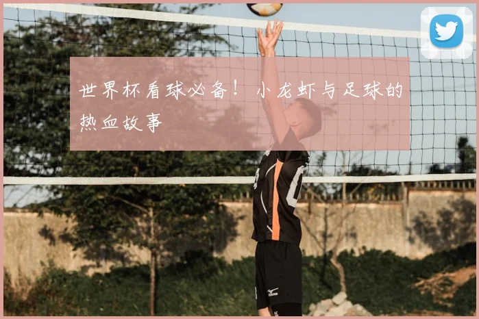 世界杯看球必备!小龙虾与足球的热血故事