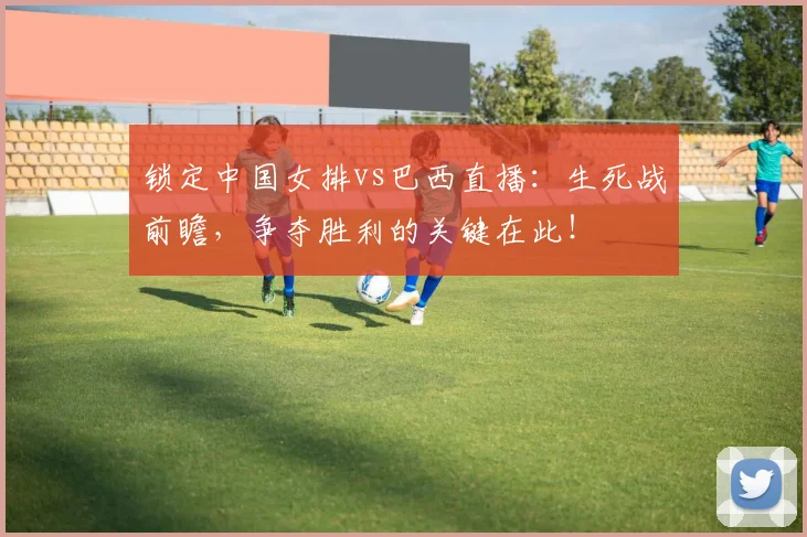 锁定中国女排vs巴西直播:生死战前瞻,争夺胜利的关键在此!