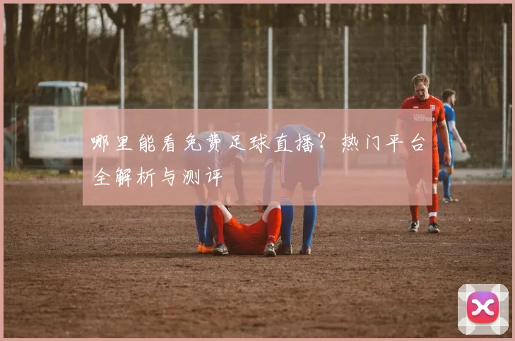 哪里能看免费足球直播？热门平台全解析与测评