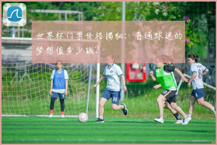 世界杯门票价格揭秘：普通球迷的梦想值多少钱？
